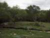 h0014895_small.jpg