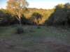 hpim5517_small.jpg